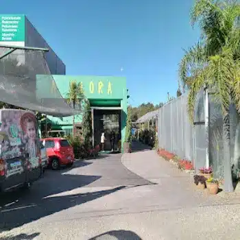 floricultura a flora