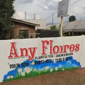 florista any flores pg