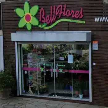 floricultura bell flores