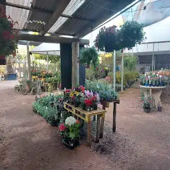 floricultura centro porto alegre tele entrega