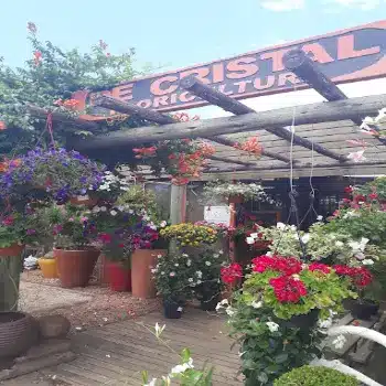 floricultura com tele entrega porto alegre 24 horas