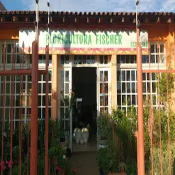 floricultura fischer
