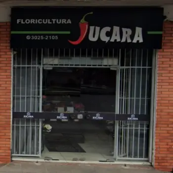 floricultura jucara
