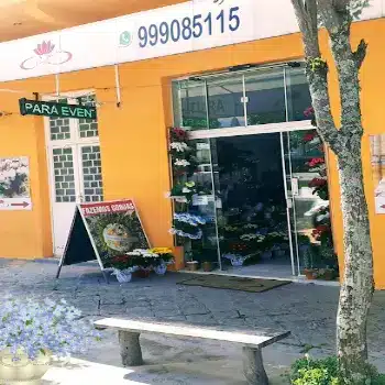 florista anna marks ponta grossa pr