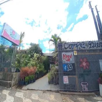 florista carpe diem flores