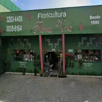 florista flora viva