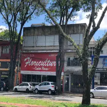 loja de flores center maringa