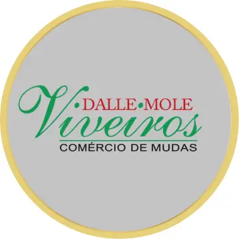 loja de flores dallemole viveiro