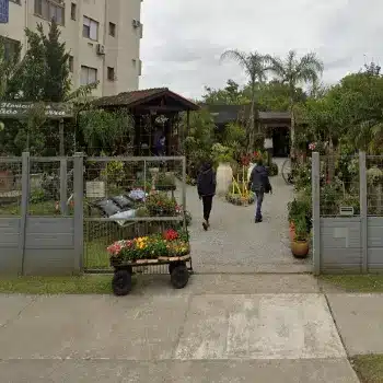 loja de flores maos da terra