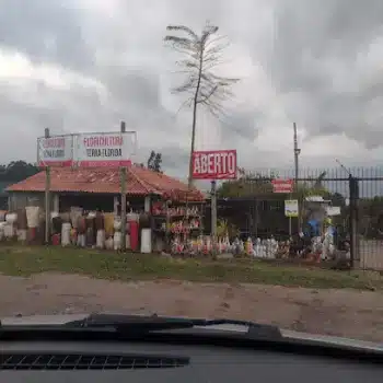 loja de flores terra florida