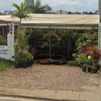loja floral flor do campo