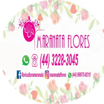 maranata telefone floricultura maringa