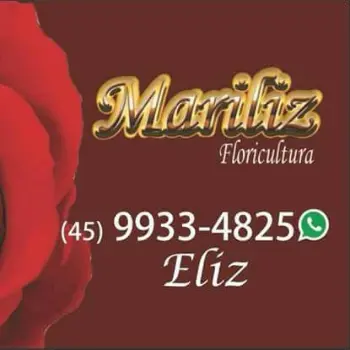 mariliz florista cascavel