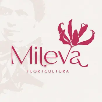 mileva floricultura aberta agora santa maria rs