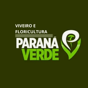parana verde loja de flores