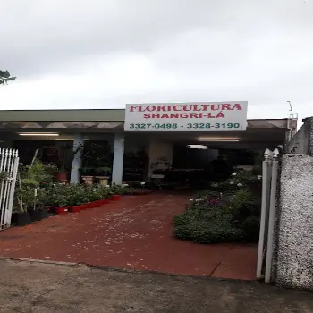 sangri la floricultura aberta agora londrina pr