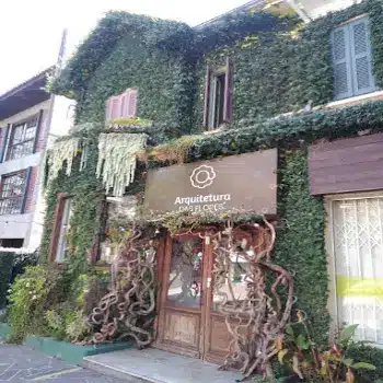 tele entrega de flores em porto alegre