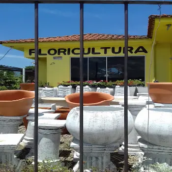 telefone floricultura raddatz