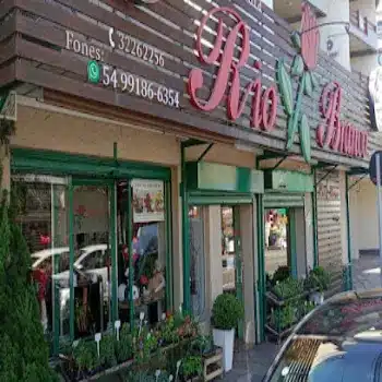 telefone floricultura rio branco caxias do sul