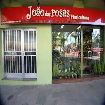 telefono floricultura joao das rosas