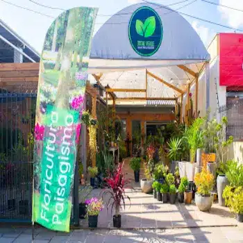 total verde floricultura online caxias do sul rs