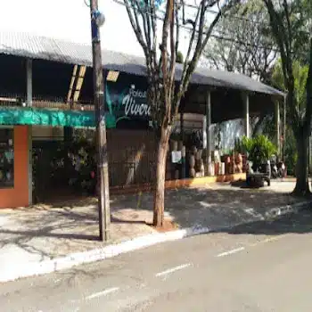 viveiro viverde floricultura online maringa pr