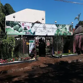 flor e flora loja de flores