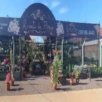floricultura recanto das flores