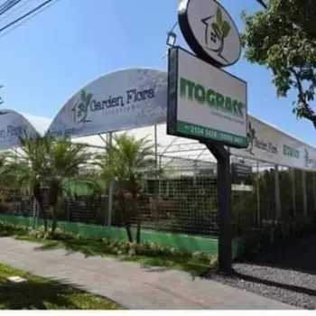 floricultura verde flora delivery em tres lagoas