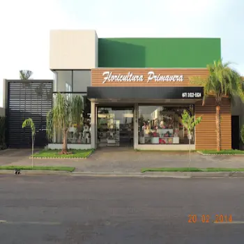 primavera floricultura online tres lagoas ms
