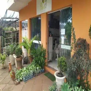 telefone floricultura beira rio