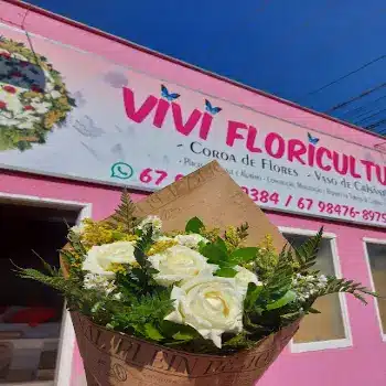 vivi floricultura aberta agora tres lagoas ms